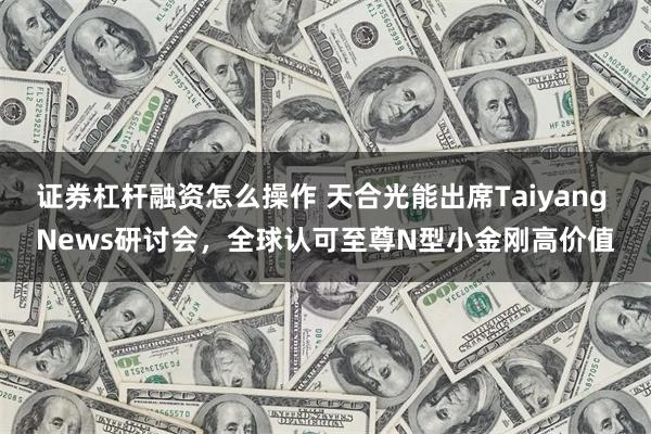 证券杠杆融资怎么操作 天合光能出席Taiyang News研讨会，全球认可至尊N型小金刚高价值