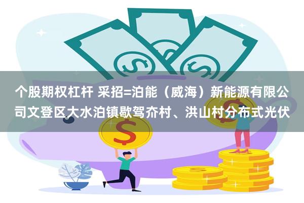 个股期权杠杆 采招=泊能（威海）新能源有限公司文登区大水泊镇歇驾夼村、洪山村分布式光伏