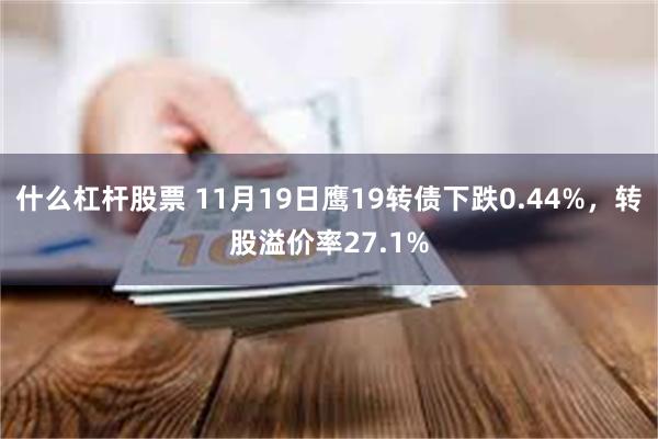 什么杠杆股票 11月19日鹰19转债下跌0.44%，转股溢价率27.1%