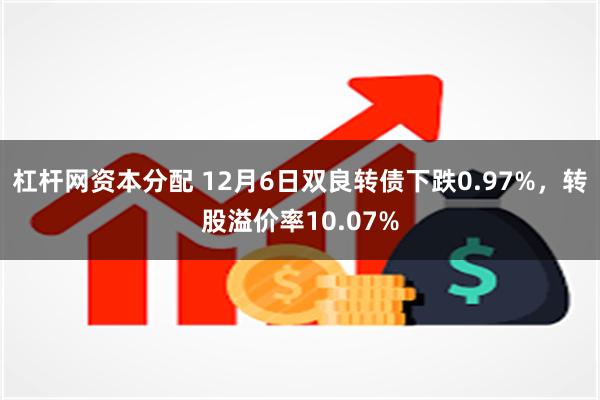 杠杆网资本分配 12月6日双良转债下跌0.97%，转股溢价率10.07%