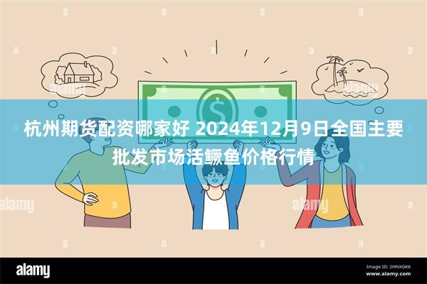 杭州期货配资哪家好 2024年12月9日全国主要批发市场活鳜鱼价格行情