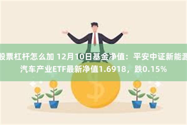 股票杠杆怎么加 12月10日基金净值：平安中证新能源汽车产业ETF最新净值1.6918，跌0.15%