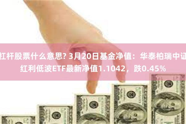 杠杆股票什么意思? 3月20日基金净值：华泰柏瑞中证红利低波ETF最新净值1.1042，跌0.45%