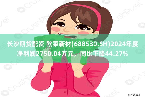长沙期货配资 欧莱新材(688530.SH)2024年度净利润2750.04万元，同比下降44.27%