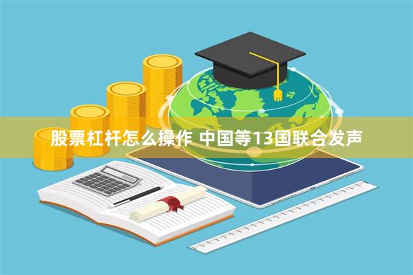 股票杠杆怎么操作 中国等13国联合发声